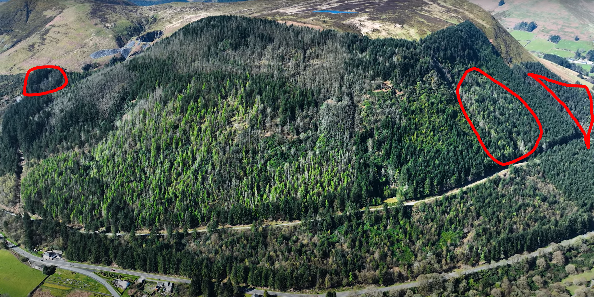 Aerial image of the forest with highlighted sections showing areas to be felled 