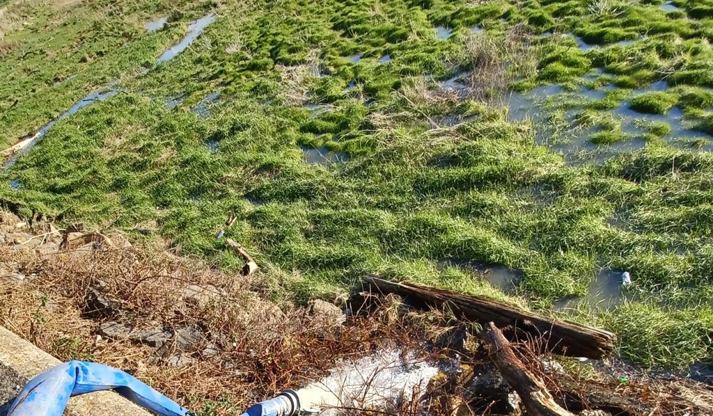 Natural Resources Wales / Dŵr Cymru Welsh Water sentenced for polluting ...