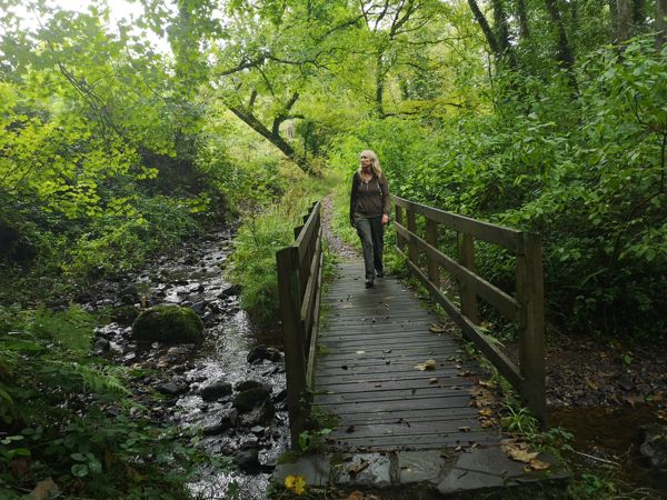 Mill Wood in Gower Mill Wood in Gower
