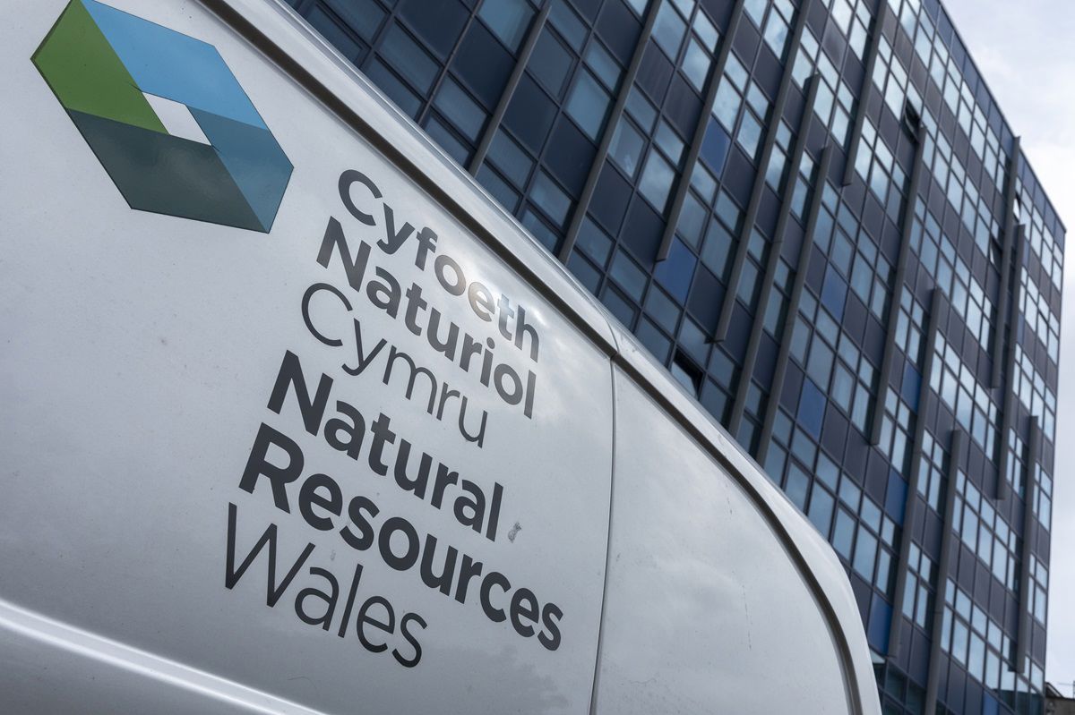 Natural Resources Wales natural-resources-wales