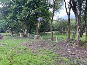 SoDdGA Rhosydd Castell Du a Phlas-y-betws, Sir Gaerfyrddin