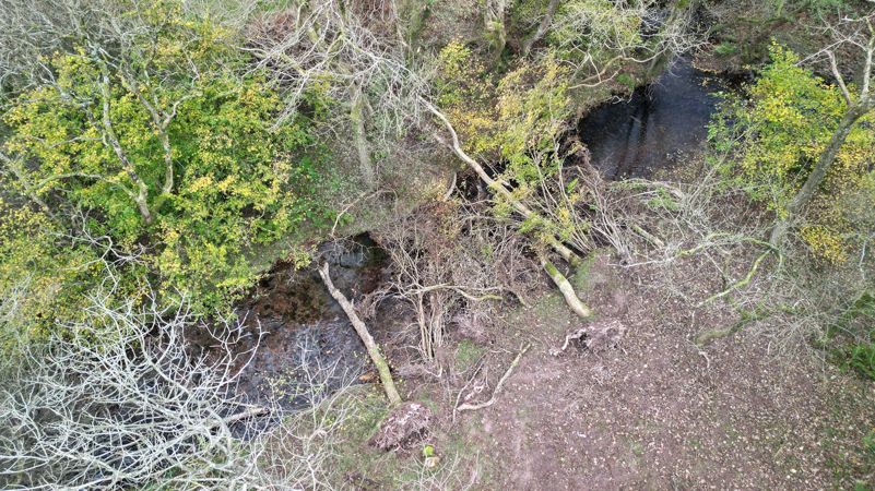 Wood introduced into the River Tarell at the National Trust Ty Mawr Farm site. Wood introduced into the River Tarell at the National Trust Ty Mawr Farm site.