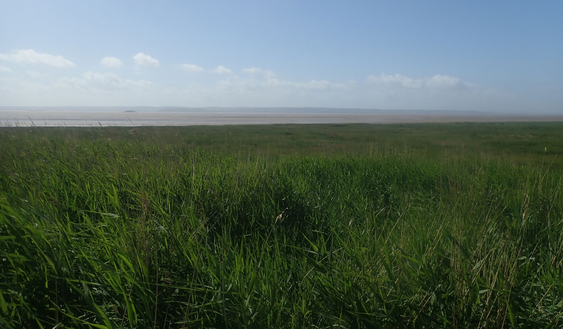 Natural Resources Wales / Fresh approach to saltmarsh habitat ...