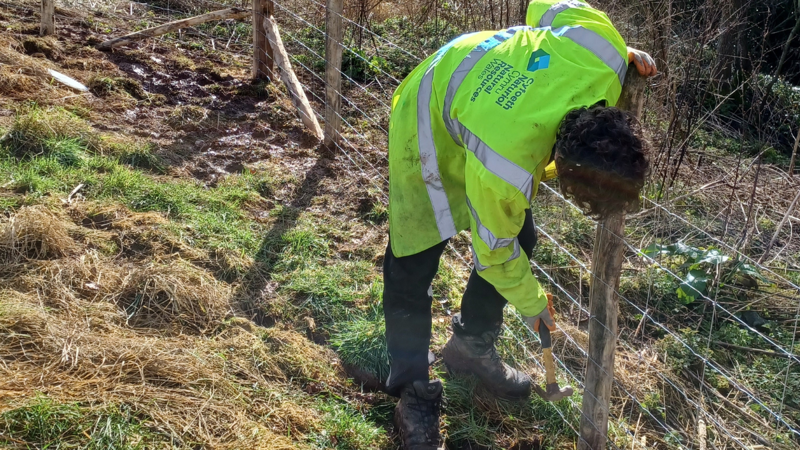 An officer from Natural Resources Wales installing fencing at Glen Farm in Monmouthshire An officer from Natural Resources Wales installing fencing at Glen Farm in Monmouthshire