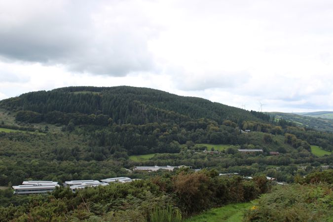 A forest on a hill with building in the foreground A forest on a hill with building in the foreground