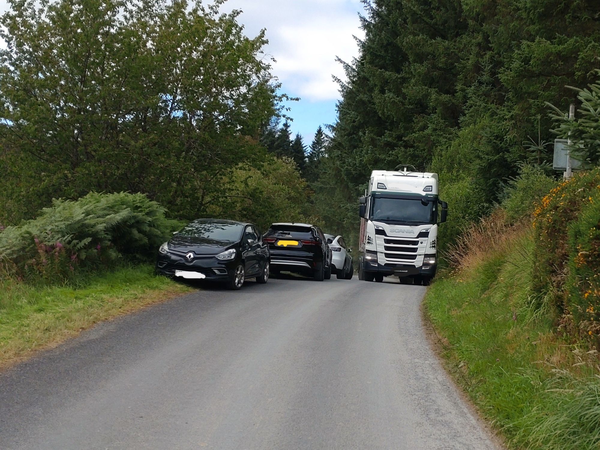 Narrow rural road in a forested area with trees and dense vegetation on both sides. Several cars are parked along the left verge, partially blocking the lane, while a large white lorry approaches from the opposite direction. The road is bordered by grass, ferns, and yellow wildflowers under a cloudy sky.