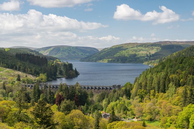 Ffoto o Lyn Efyrnwy Ffoto o Lyn Efyrnwy