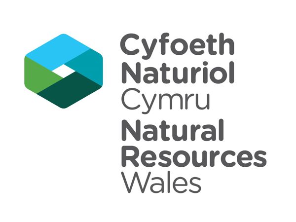 Cyfoeth Naturiol Cymru logo Cyfoeth Naturiol Cymru logo