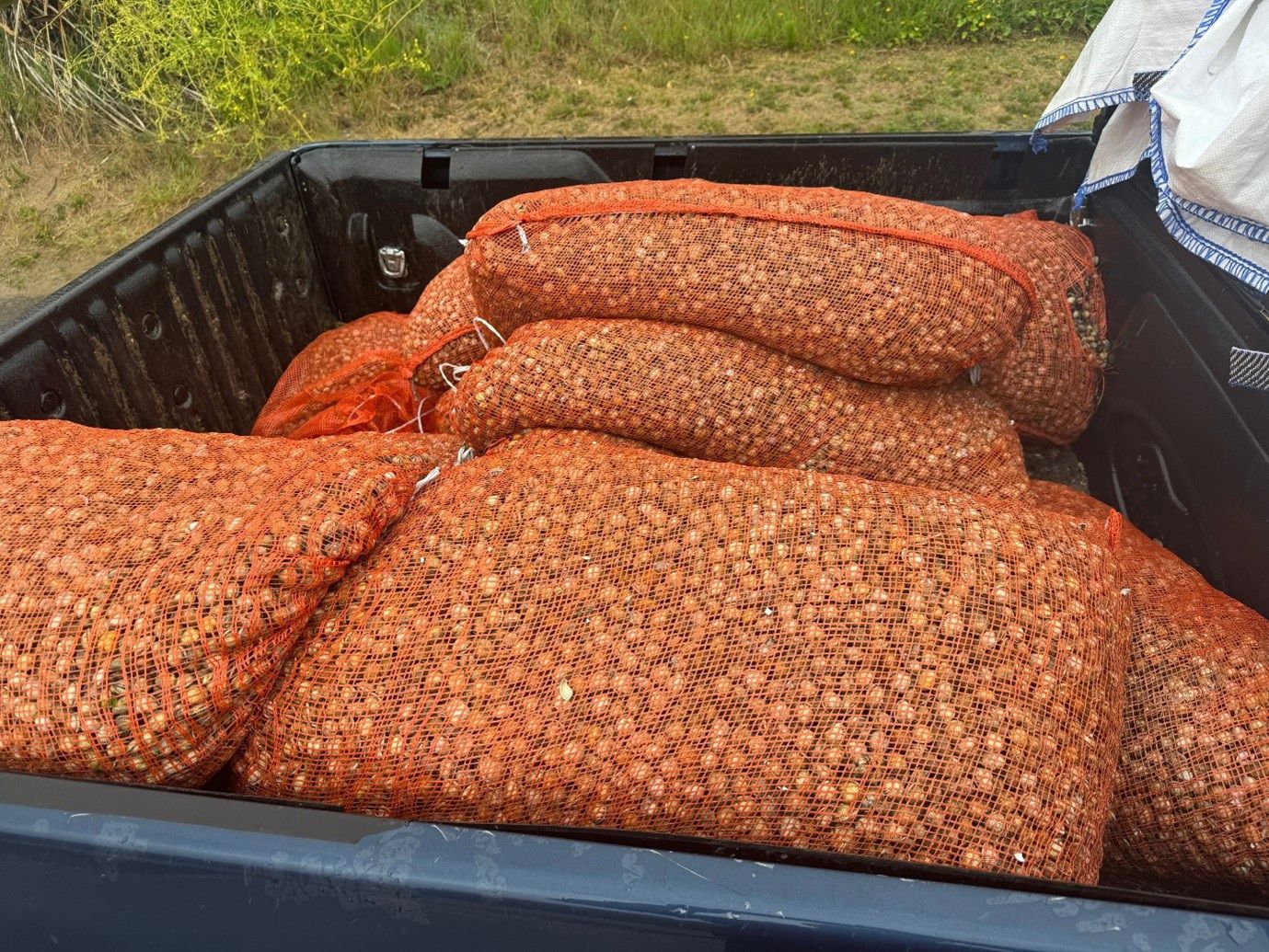 Burry Inlet Inner Natural Resources Wales / Four men fined over illegal cockle gathering ...