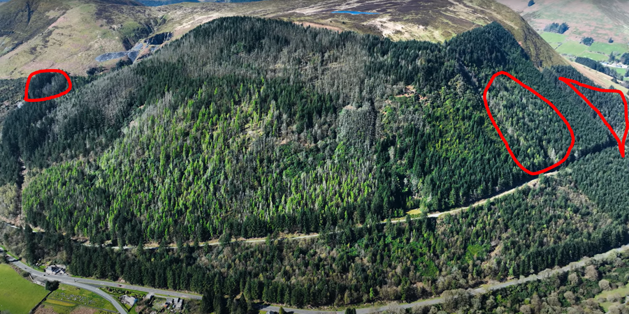 Aerial image of the forest with highlighted sections showing areas to be felled Aerial image of the forest with highlighted sections showing areas to be felled