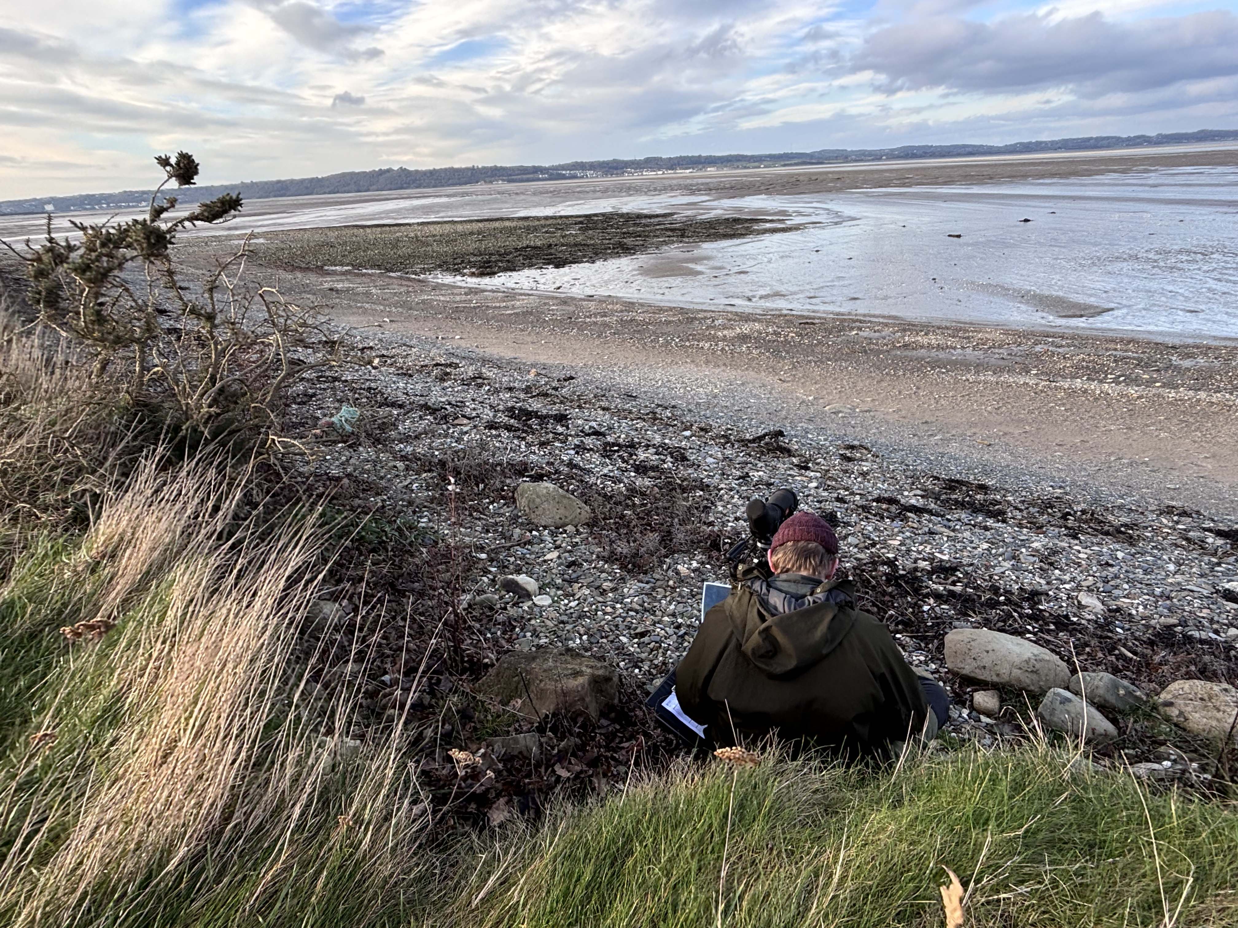 Arolygydd yn arsylwi Traeth Lafan