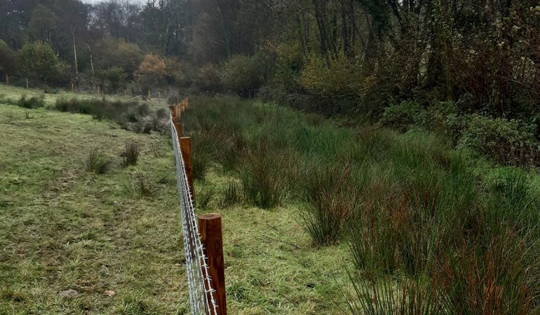 Fencing at Dyffryn Isaf Farm (1)
