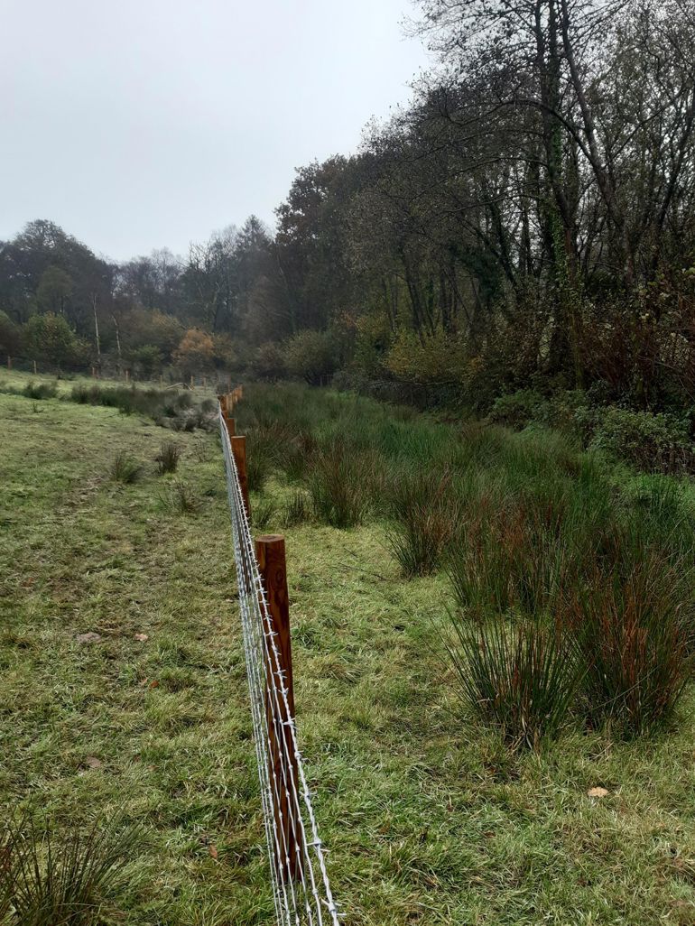 Fencing at Dyffryn Isaf Farm (1) Fencing at Dyffryn Isaf Farm (1)